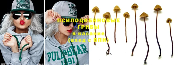 прущий лед Кукмор