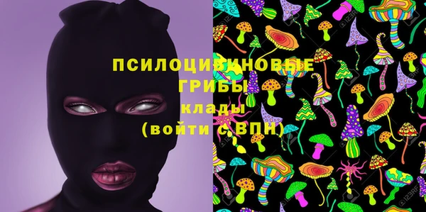 хмурый Кулебаки